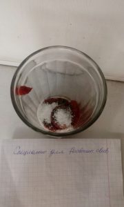 Борсцх на пилећим залихама