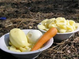 Краљевско ухо у природи