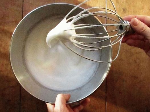 Бичи веверице