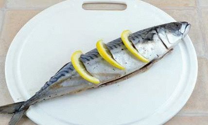 скумбрииа-запецхеннаиа3