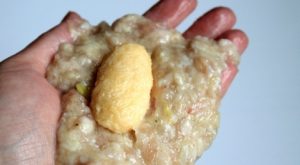 Резнице Папараззи