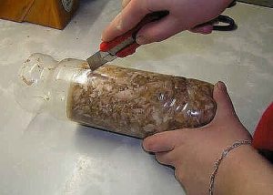 Пилећи колач у боци