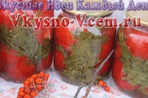 Кисели парадајз са першуном
