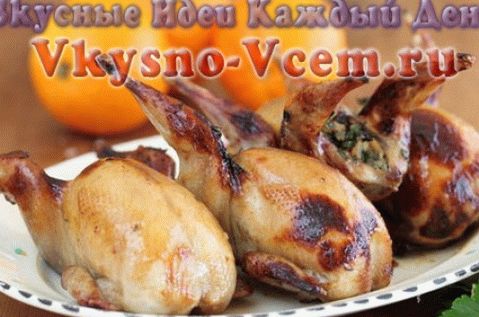 Краљевска препелица