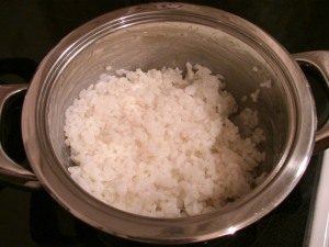 Далеки источни рола