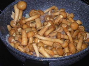 Мед од агариц са ротквицом
