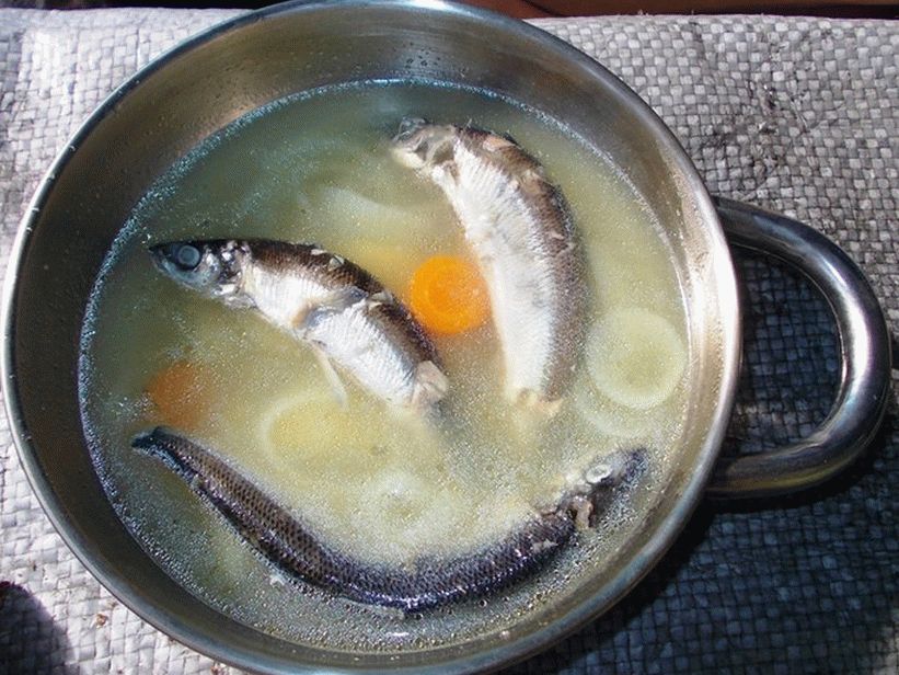 Какая рыба для супа. Уха из рыбы. Уха суп из рыбы. Уха из мелкой рыбы. Уха из ряпушки.